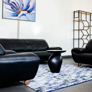 salon 100% cuir noir