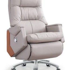 chaise présidentielle en cuire avec fonction électrique et port de charge usb